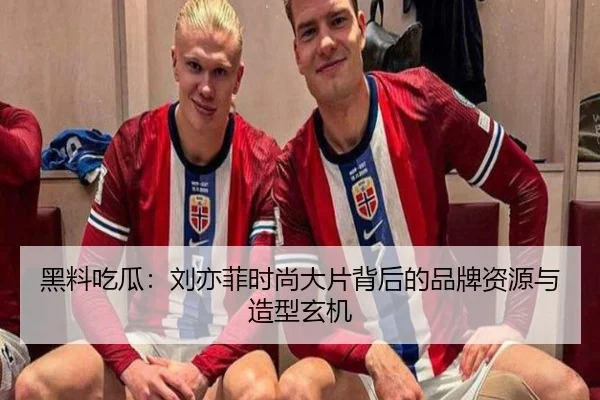 黑料吃瓜：刘亦菲时尚大片背后的品牌资源与造型玄机