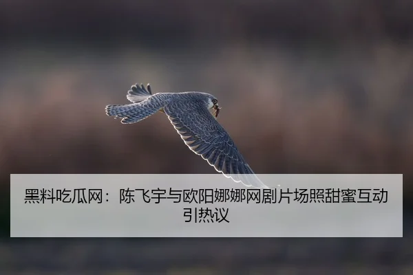 hei-liao-chi-gua-wang-chen-fei-yu-yu-ou-yang-na-na-wang-ju-pian-chang-zhao-tian-mi-hu-dong-yin-re-yi-2-135.jpg